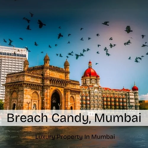 Breach Candy, Mumbai - Map, Area, Property Rates, Pincode, Photos, Builders, Overview